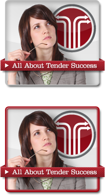 link About Tender Success